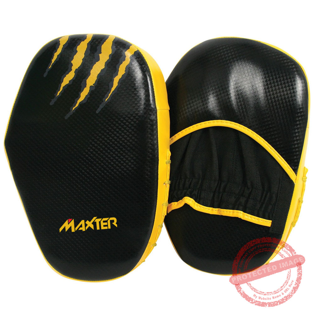 Coaching Mitts 3 Coaching Mitts - Image 3