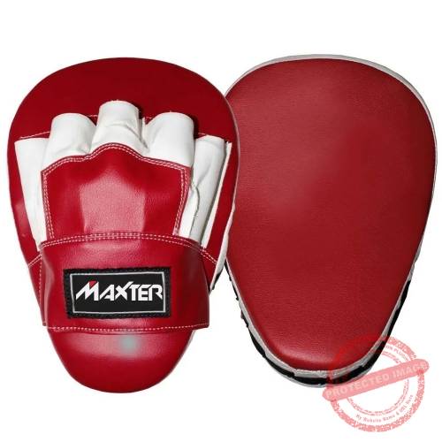 Coaching Mitts 2 Coaching Mitts - Image 2